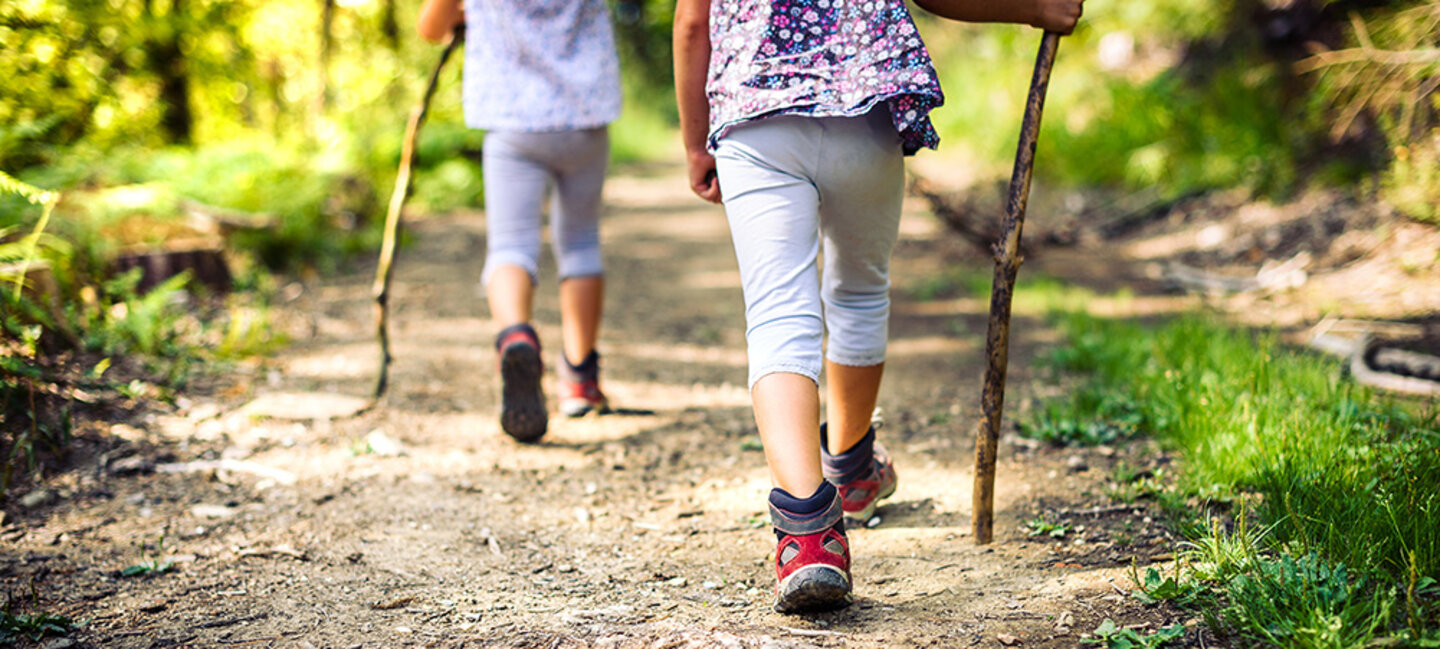 children hiking in the forest