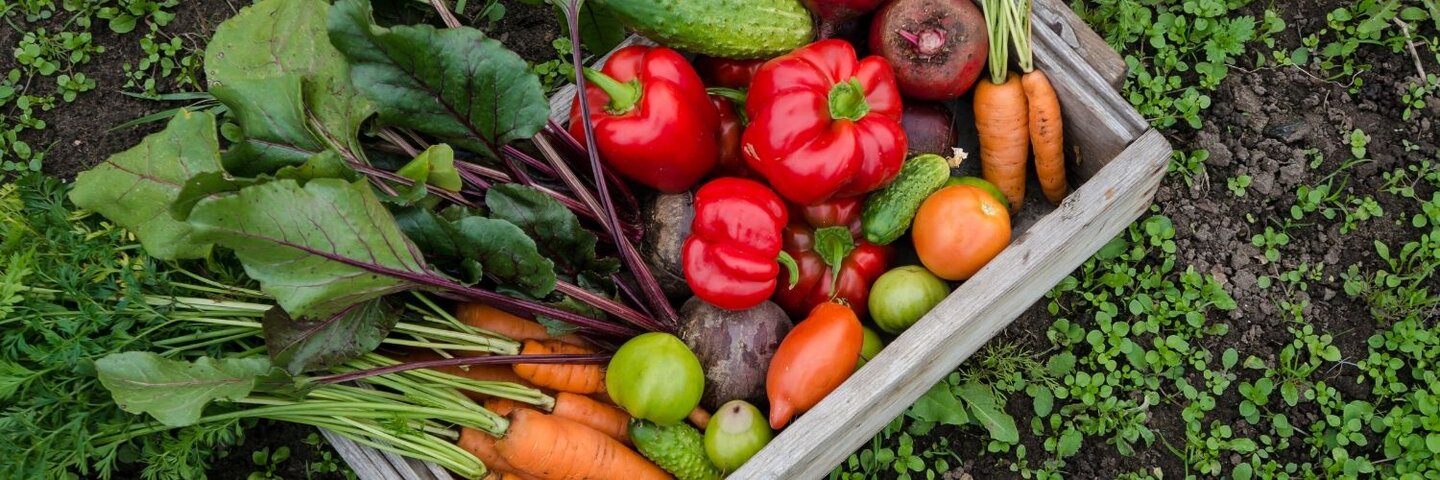 garden vegetables