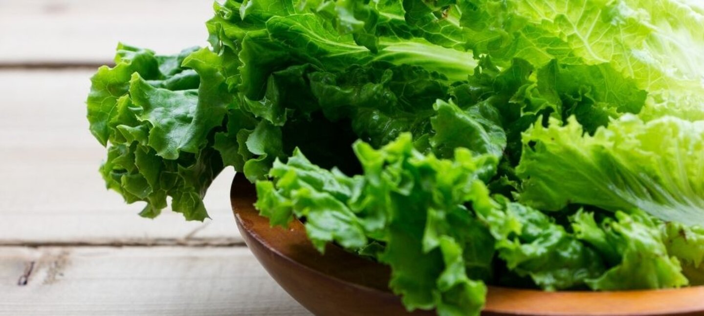 lettuce in a bowl