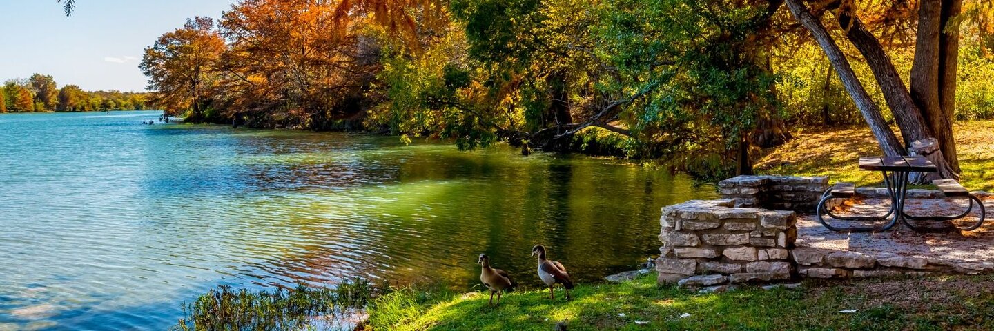 fall-picnic