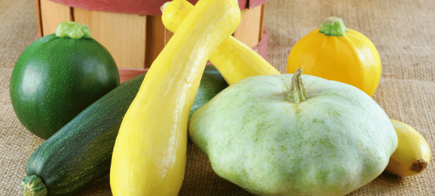 assorted summer squash