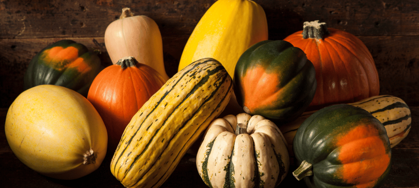 assorted winter squash