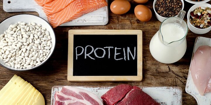 variety of protein foods