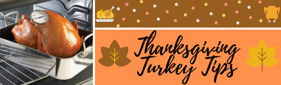 Thanksgiving Turkey Tips graphic.