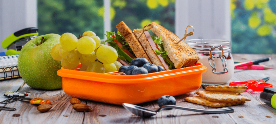 kids lunchbox with sandwich, fruits, veggies, crackers, and nuts