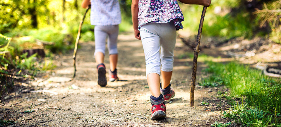 children hiking in the forest