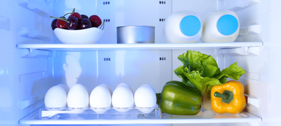 refrigerator open with milk, eggs, fruit, and vegetables