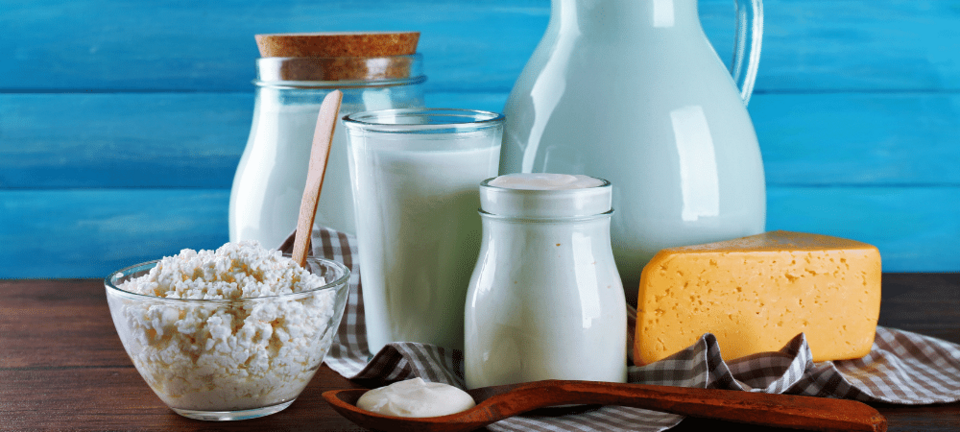 variety of dairy foods such as milk, yogurt, and cheese