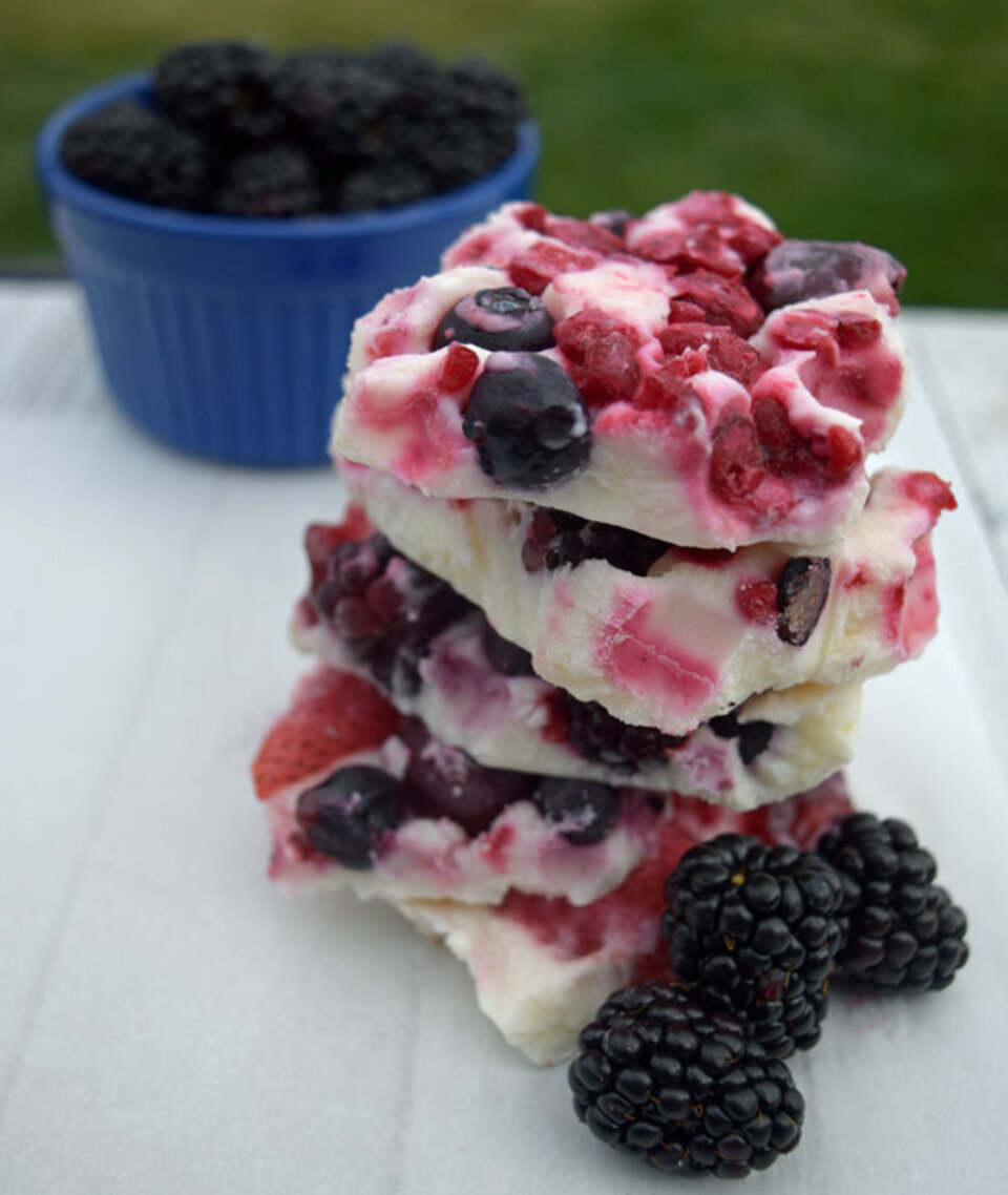 festive fruit bark