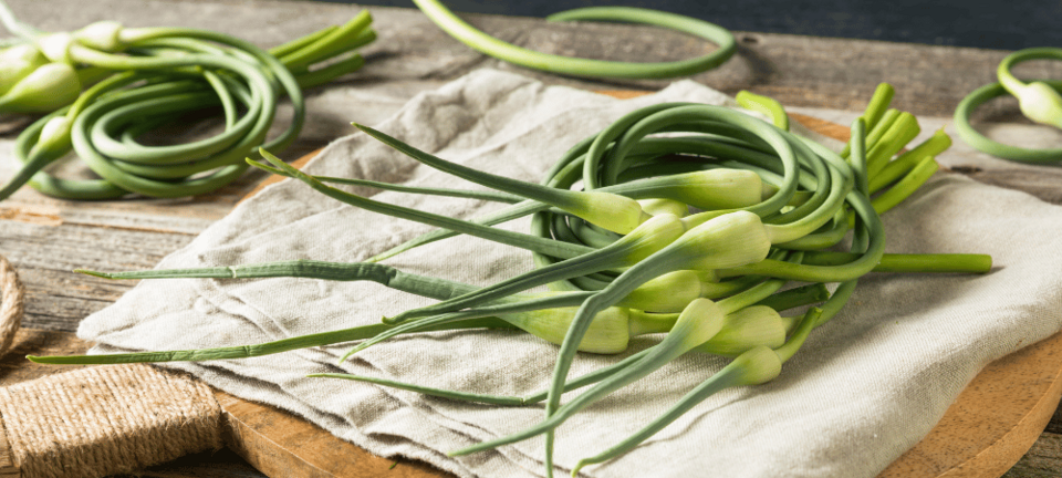 garlic scapes