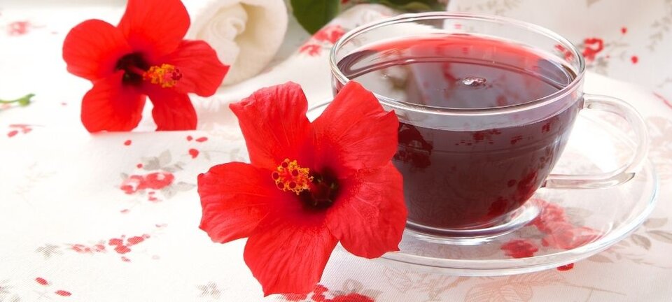 hibiscus tea