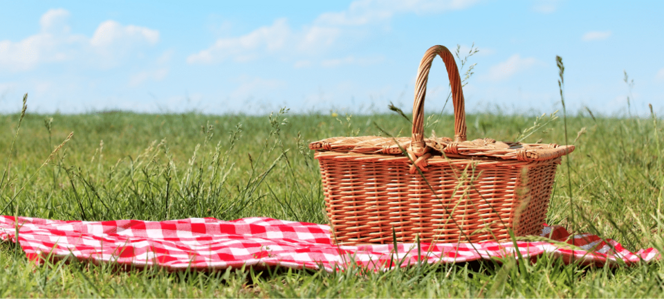 picnic basket on a blanked on green grass with a blue sky