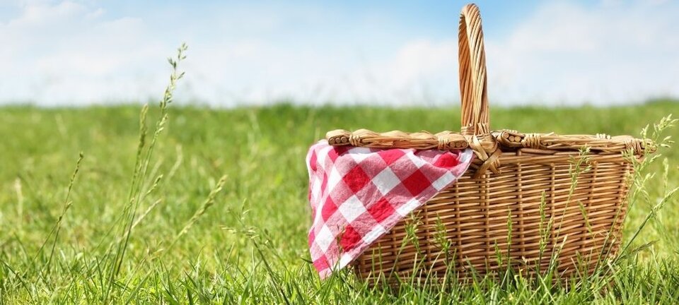 picnic