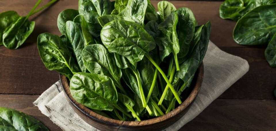 spinach in a bowl