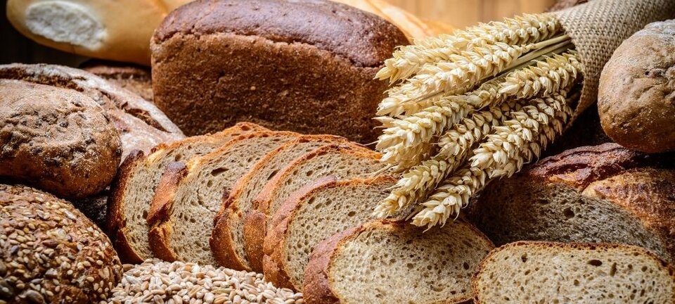 wheat bread