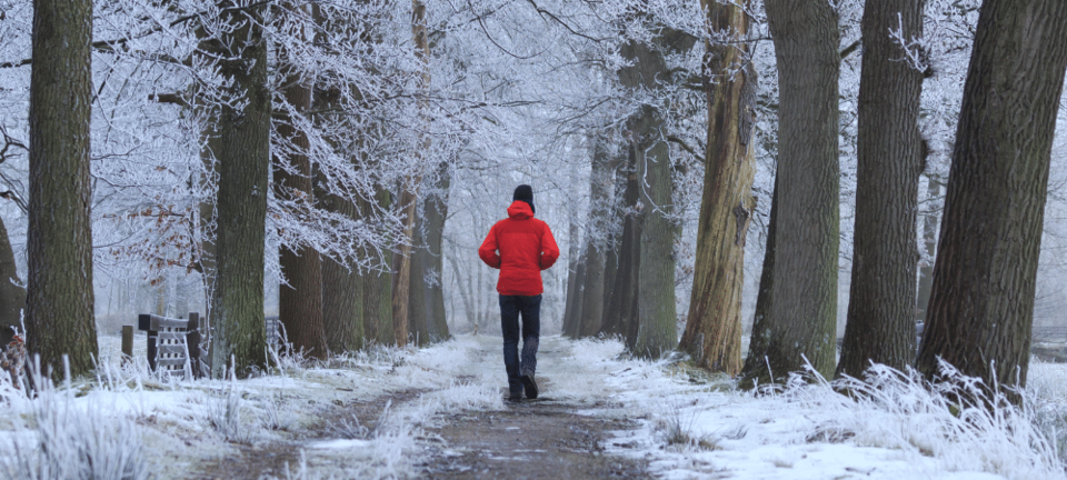 person walking on a winter day