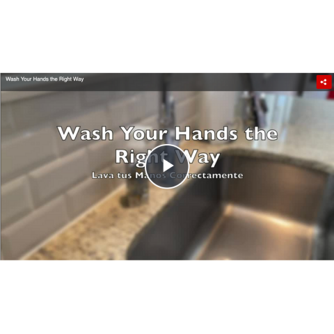 handwashing video