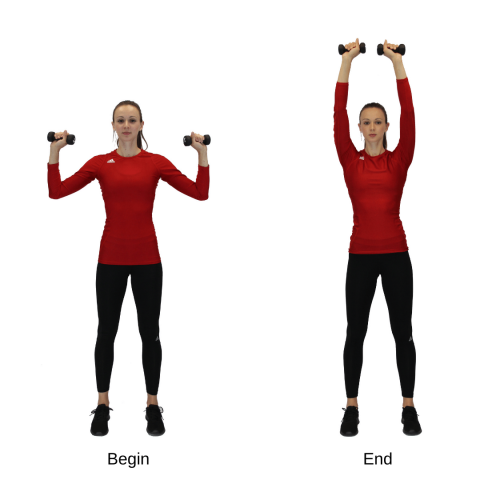 shoulder press exercise