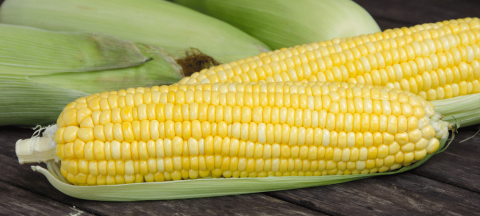 sweet corn on a table