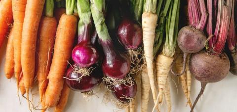 variety of root vegetables