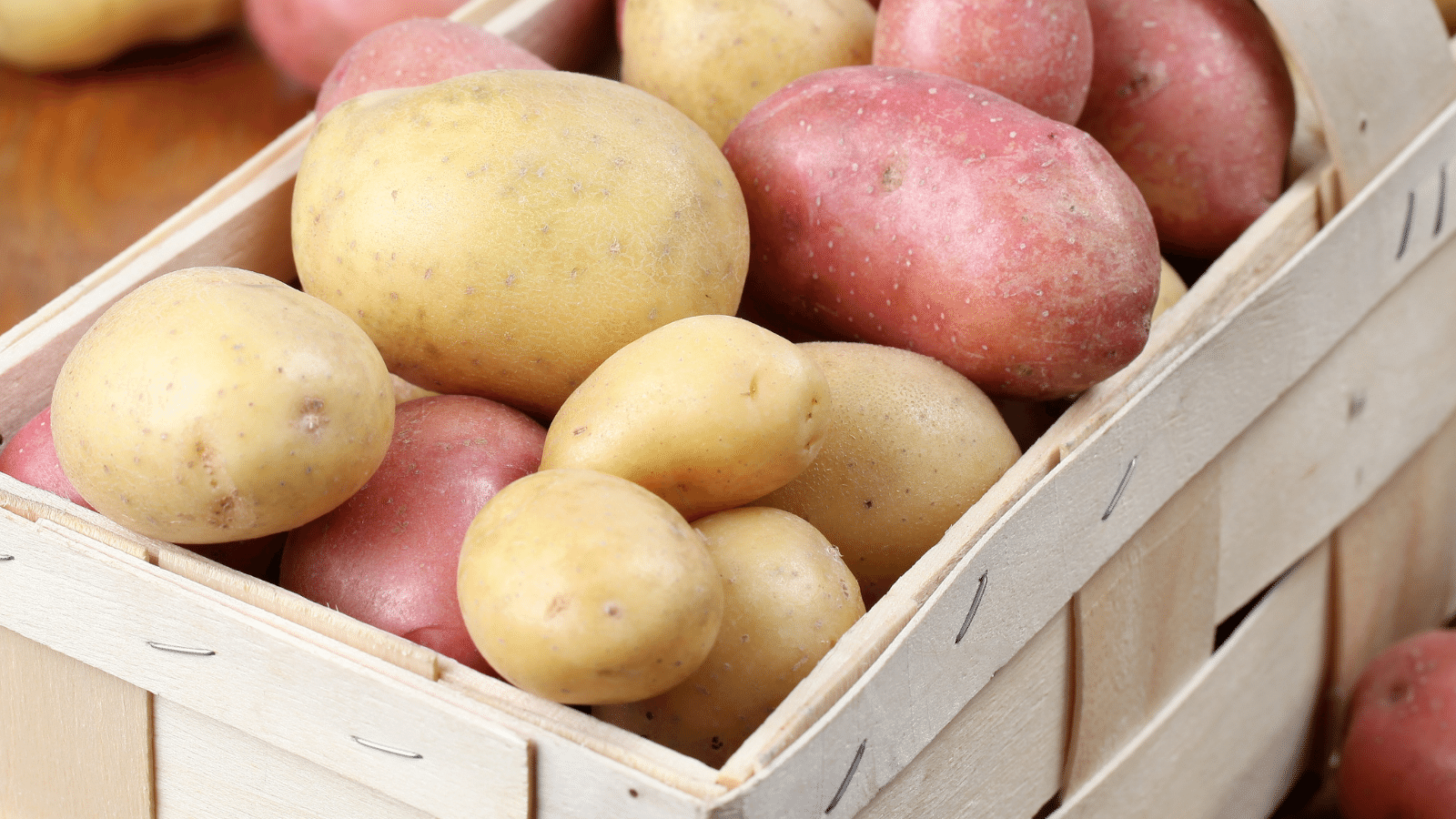 Variety of potatoes.
